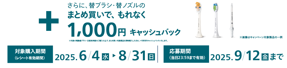 対象製品を購入するともれなくキャッシュバックキャンペーンの日程