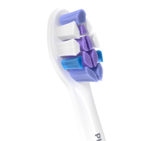 センシティブスタンダード