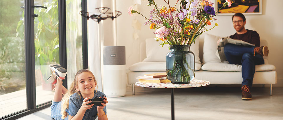 家庭内のアレルゲン - 花粉