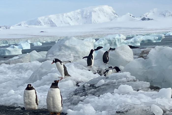 2023年9月撮影。トルコのカッパドキアにて。 asset