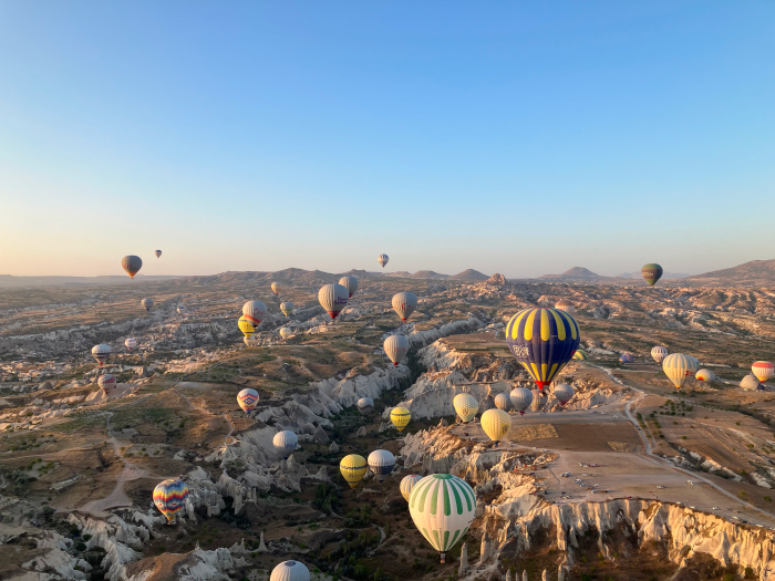 編集者、ライター・櫻井正朗（さくらい まさお）さん asset